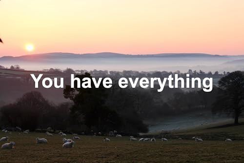 You have everything