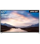 Amazon.co.jp: JAPANNEXT 49インチ モニター DWQHD 5120x1440解像度 VA