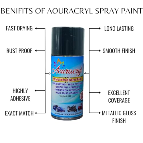 Image of PU Spray Paint Daytona Grey (RC Colour Name) Compatible for Tata nexon, Safari, Tiago, Tigor, Punch, Harrier Cars, Daytona Grey Spray Paint 225 ml (Pack of 1)