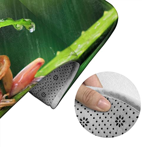 DIRYKILP Frosch mit Blatt Regenschirm 3 Stück Badvorleger Set Badematte + Konturmatte + Toilettendeckelbezug mit rutschfester Klebeunterseite – Bild 6