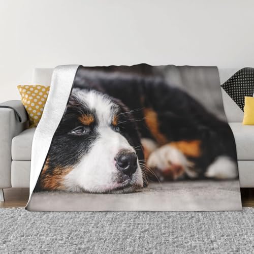 uPbg o[j[Y}EehbO  (4) 킢  ѕz GARuPbg ӂӂ  tl Ђ| _炩G g Ódh~ 􂦂 lC v[g lGKp 100cmx125cm