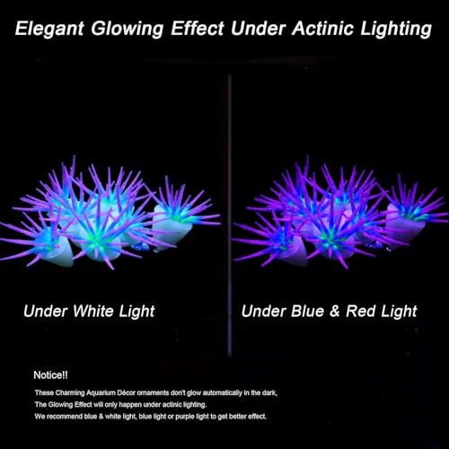 Image of ZtohPyo Glowing Effect Fish Tank Aquarium Decorations, Artificial Silicone Plants Ornaments for Fish Tank Landscape Decor Glow in The Dark Soft Anemone for Small Aquarium Decoration (Purple Anemone)
