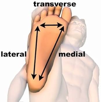 Amazon.com: Advanced Myofascial Release DVD : Sean Riehl, Sean
