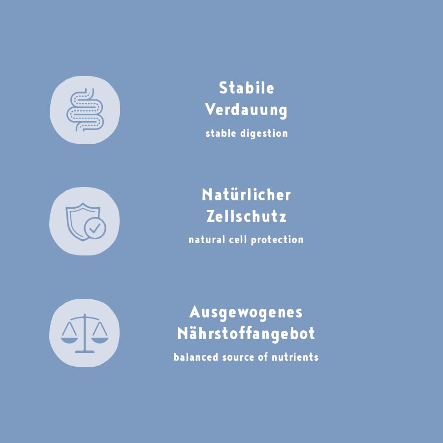 Bosch My Friend + Dog Junior & Active | Hundetrockenfutter für junge und aktive Hunde | 1 x 12 kg