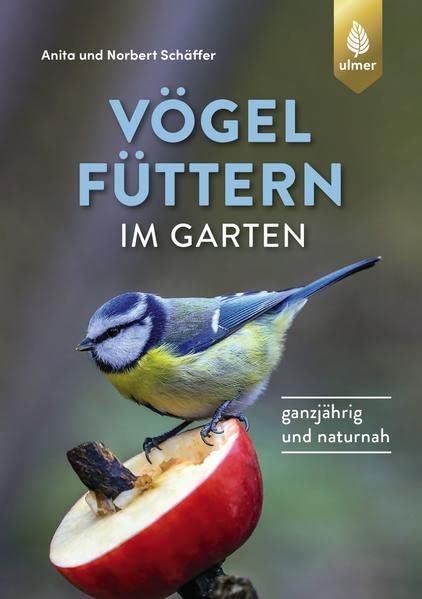Vögel füttern im Garten: Ganzjährig und naturnah. Empfohlen vom Landesbund für Vogelschutz in Bayern (LBV)