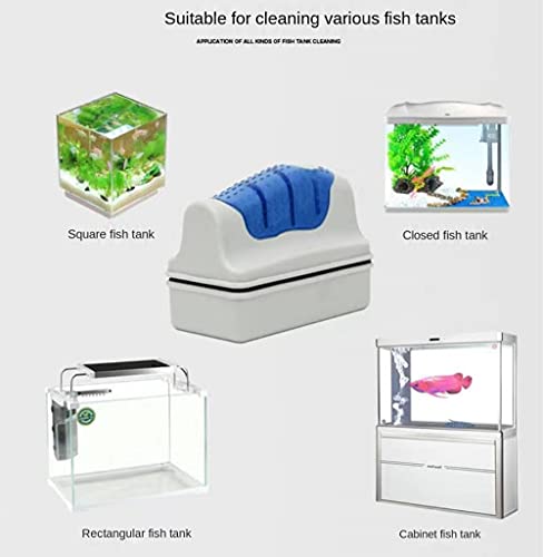 Shuwen Spazzola Acquario, Acquario Doppi Lati