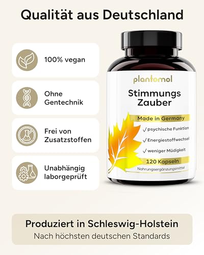 120 Johanniskraut Kapseln hochdosiert - 1000mg Johanniskraut-Extrakt mit GABA & L-Tryptophan - pflanzlicher Stimmungsaufheller hochdosiert - Stimmungszauber - 3 Monatsvorrat