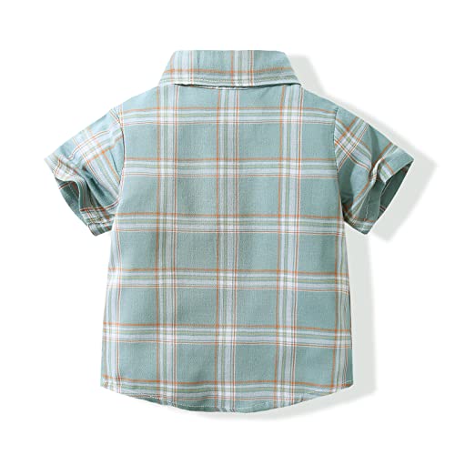 Baby Boys Dinosaur Animal Print Shirt Button Down Hawaiian Shirts Aloha Short Sleeve Party Holiday Dress Shirt2