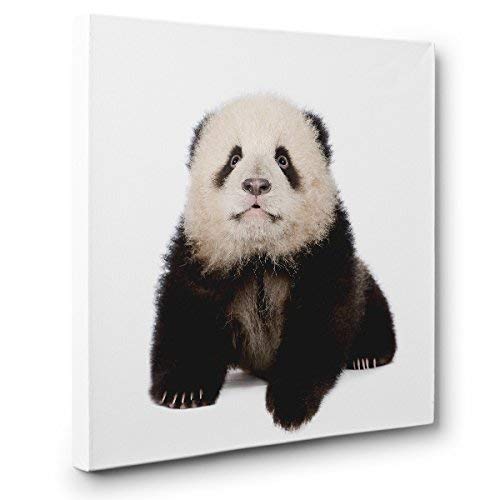 Baby Panda CANVAS Wall Art Nursery Décor Handmade Products