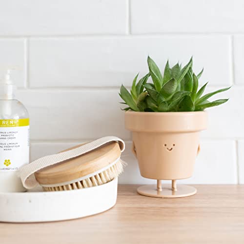 Standing Indoor Plant Pot, Unique Cute Plastic Flower Pot With Face, 3.5 Inch Succulent/Cactus Planter Gift With Drainage Hole, Decorative Novelty Planter (1 X Standing Pot) #TOP1
