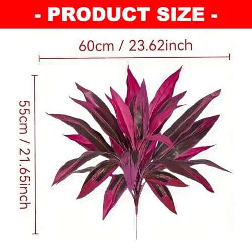 Plante Dracaena pour cour intérieure : finis les arrosages difficiles