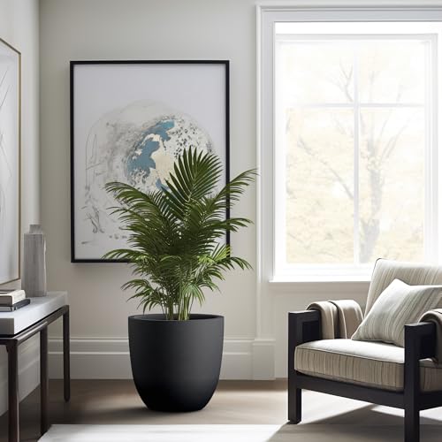 Image of Kante Large Round Bowl Black Concrete Planter 18 inch Dia, Outdoor