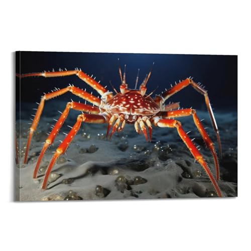 Poster d'animal marin araignée et crabes de mer toile déco chambre 60x90 cm