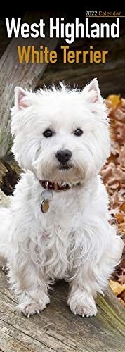 West Highland Terrier Slim Calendar 2022 | Dog Breed Slimline Calendar - 12 Month: Address Books, Journals & More