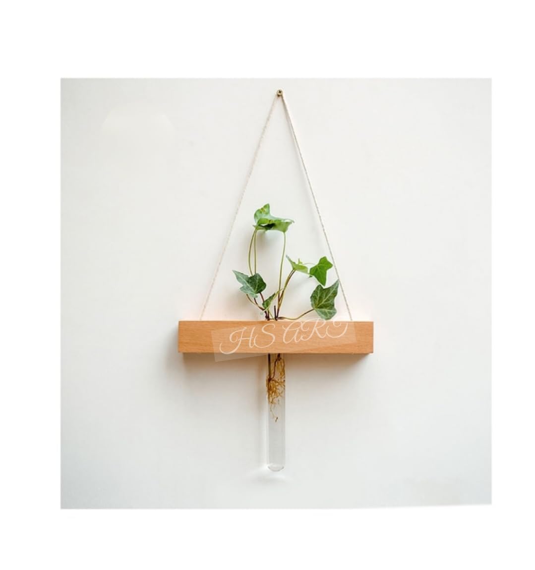 HS ART Wooden Wall Hanging Plant Holder Propagation 1 Piece Testube with Wood Stand Flowers Hanging Vase for Home Decoration Gifting Item (B0D9WWPJ79) Amazon Price History, Amazon Price Tracker