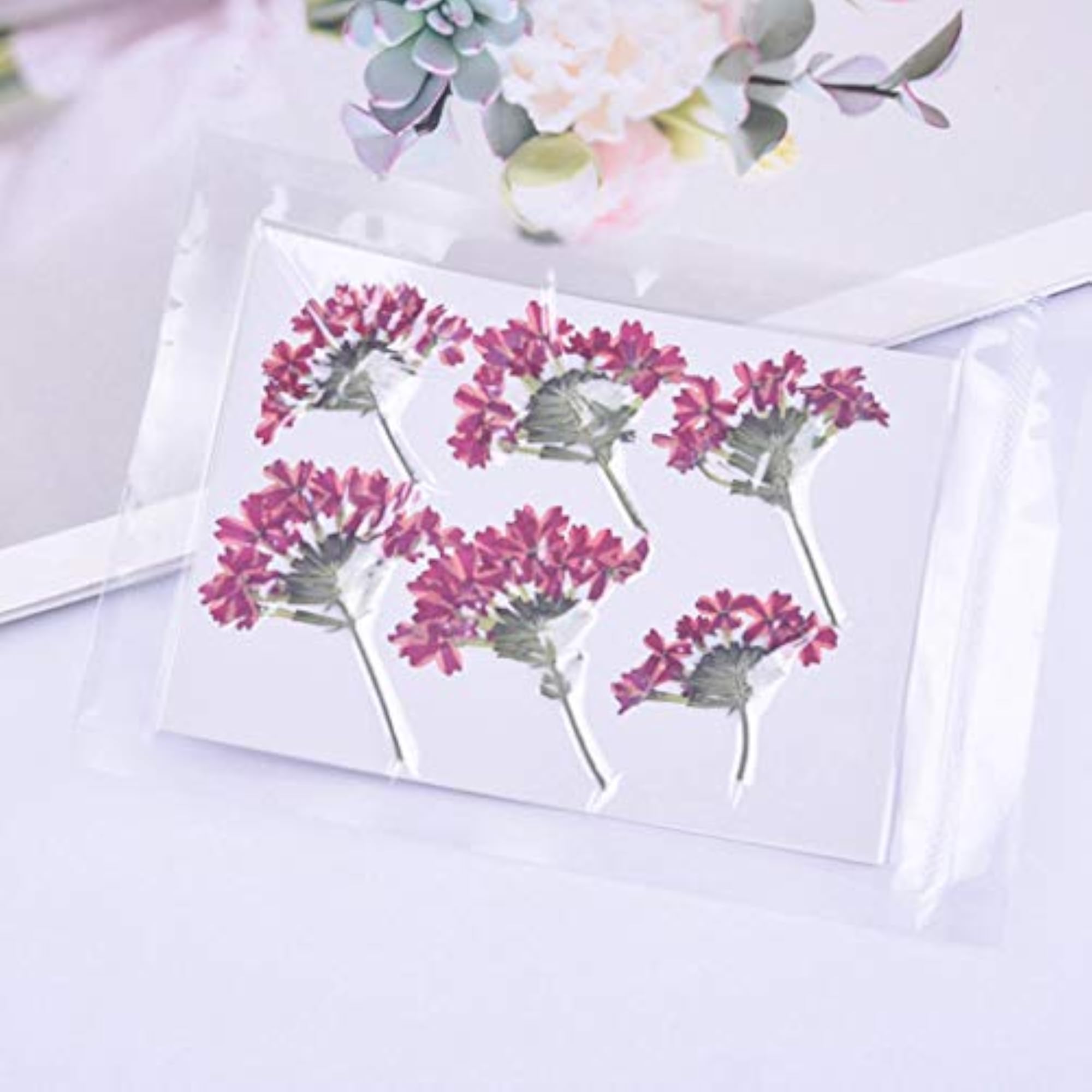 18PCS DIY Dried Flower Kit for Crafts
