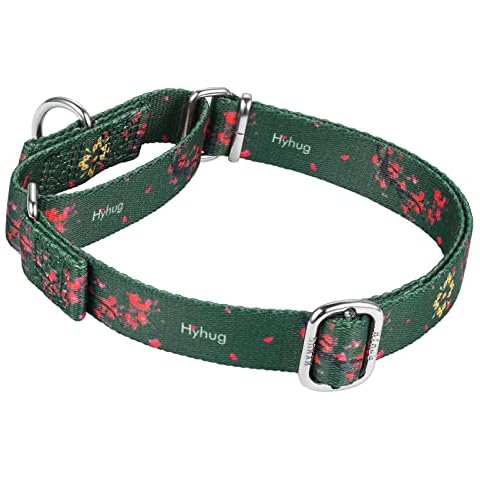 Hyhug Design, Choking (Martingale) Training Dog Collar to Prevent Escape. Comfortable and Adjustable, Strong, Hard-wearing, Durable (M 20mm, Green Plum Flower) Cover