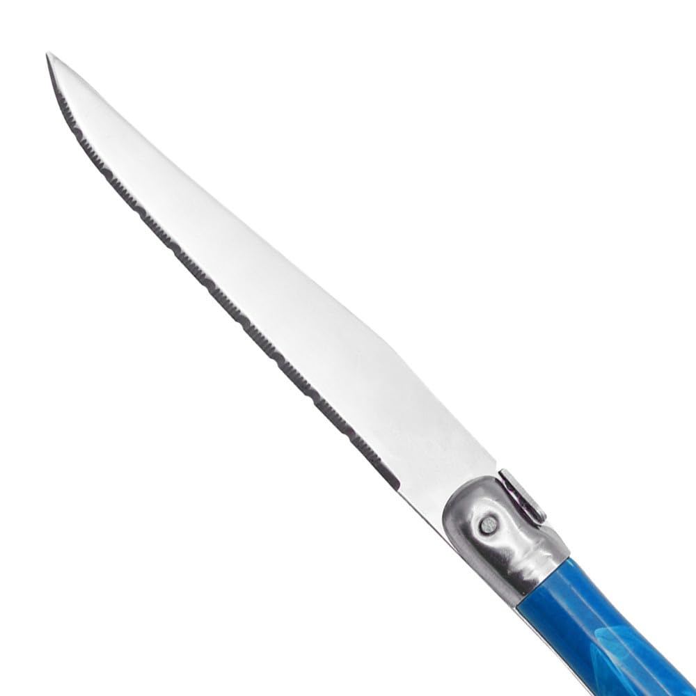 Murago 6er Set Color Steakmesser - Edelstahl Fleischmesser Pizzamesser Steakmesser Messer Gastronomie bunte bunt im Geschenkkarton
