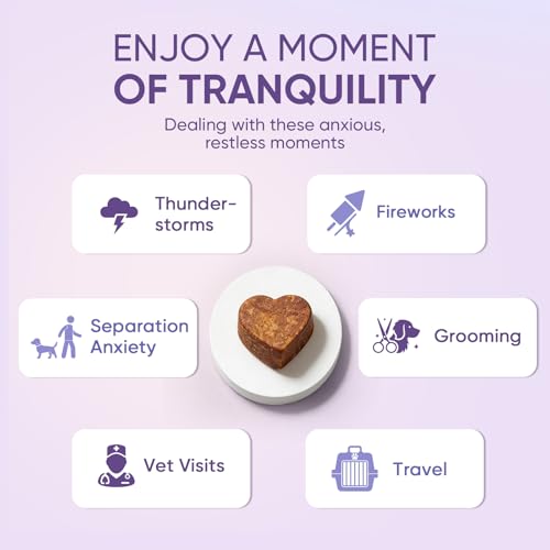 Image of Calming Chews for Dogs 200pc Dog Calming Treat and Bites with Melatonin - Anxiety and Stress Relief Treats for Dogs Puppy Sleep Aid Calm Dog with Noise,Thunder, Barking, Separation,Chewing