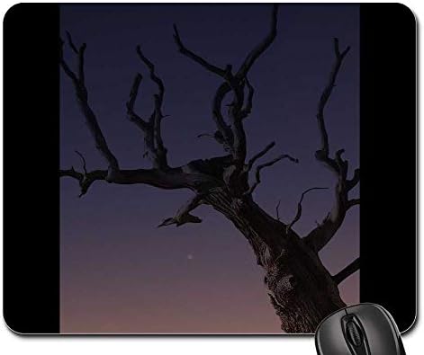 Mouse Pad - Tree Plant Old Dry Dead Branches Wood Bare