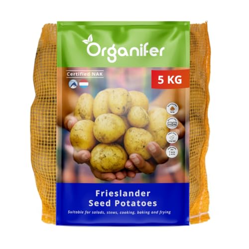 Patatas De Siembra Frieslander A 28/35-5 Kg - Certificación Nak - Temporadas De Cultivo Cortas, Cosecha A Los 90 Días - Resistencia A Enfermedades Como Phytophthora - Organifer