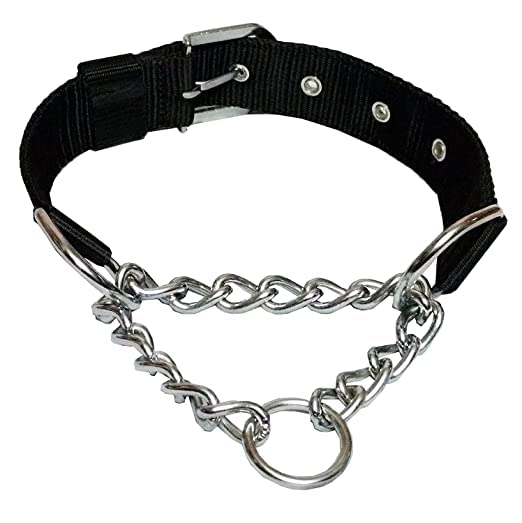 DOG TRUST Half Stainless Steel Chain and Nylon Belt Collar for Dogs - Pack of 1 (Color as per Availability) (B0BBR9JWG6) Amazon Price History, Amazon Price Tracker