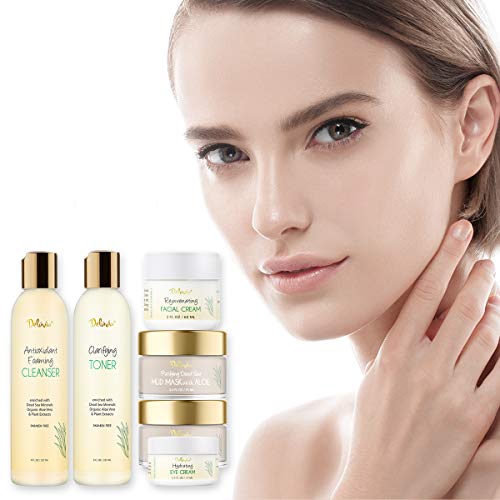 Deluvia Premium Facial Kit, Skin Care Products Set, Gentle Foaming Cleanser Face Wash, Clarifying Facial Toner, Face Moisturizer, Hydrating Under Eye Cream, Dead Sea Mud Mask #TOP4