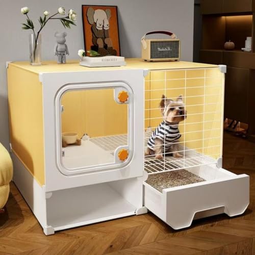 olkljdg^p gCt Ɨp ꕔgC LԃybgphbOnEX (B)