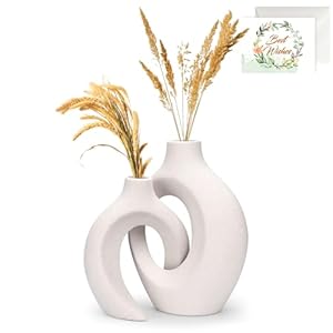 TAVADA Set di 2 vasi in ceramica bianca,Vasi Decorativo,Vase Matt, Nordic Minimalismo Stile Decorativo Vaso,Pampas Vaso,Vaso Boho Minimalista per soggiorno,matrimonio,cena,tavolo,feste ufficio