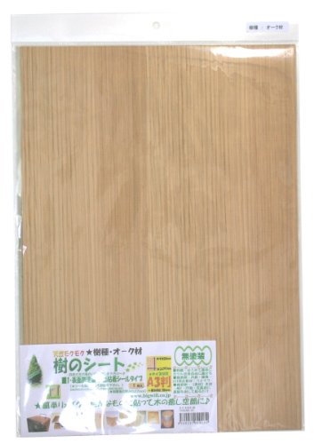 pltH rbOEB̃V[gI[NA3(420X297mm)1