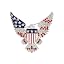 USA Eagle Shield