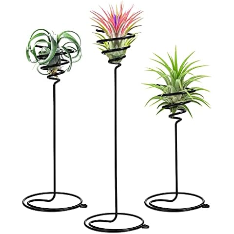 VILLCASE Soporte de Planta de Aire Tillandsia Cover
