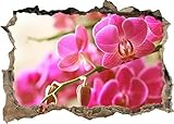 ★ Material: Wandtattoo PVC; Wasserdicht, schmutz- und scheuerfest!