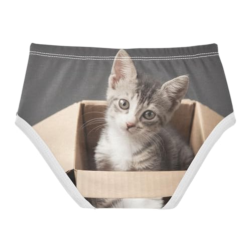 Fun Toddler Underwear Floral 2t Cotton Girl Panties Cute Cute Cat Undies Kids Briefs2