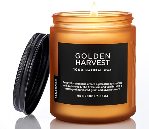 Bougies parfumées en soja M&SENSE Récolte Dorée : parfum fruité et épicé naturel longue durée
