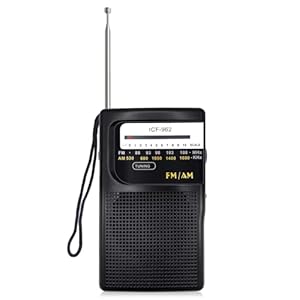 Bingxue P250 Tragbares AM/FM Radio Schwarz