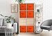 Sorbus Foldable Storage Cubes - 6 Fabric Baskets for Organizing Pantry, Shelf, Toy Box, Cubby, Closet - 11 Inch Collapsible Closet Organizers and Storage Bins with Handle (Orange)