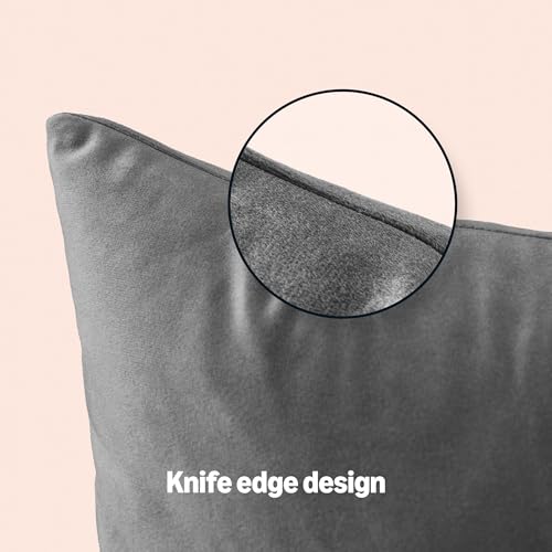 Amazon Basics Velvet Throw Pillow Covers, Soft Decorative Square Cushion Cases Modern Home Decor for Sofa, Couch, Bed, 18 × 18in, Dark Gray, Pack of 2 view 4