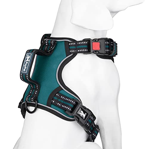 Poypet No Pull Dog Harness, No Choke Front Clip Reflective Dog Vest With Soft Padded Vertical Handle, 3 Leash Attachments For Small Medium Large Dogs (Tumalo Teal,M) #TOP1