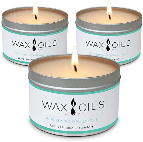 Wax and Oils Soy Wax Aromatherapy Scented Candles, Peppermint Eucalyptus, 8 oz (Pack of 3)