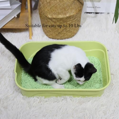Arenero para gato portátil con diseño semiabierto verde miniatura 7
