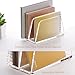 SANRUI Acrylic Mail Organizer, 2-Slot Clear Paper Letter Sorter Mini Desk Organizer, Sleek Office Desk File Holder for Mail, Bills, Notebooks 6.7