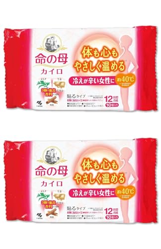 ѐ ̕ JC \ ^Cv (10) ×2 g h ~ ₦ ߗ ߂ ۉ ₦