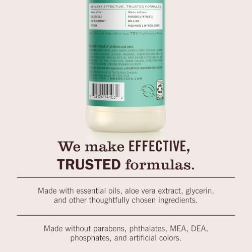 Image of MRS. MEYER'S CLEAN DAY Liquid Dish Soap, Basil, 16 fl. oz