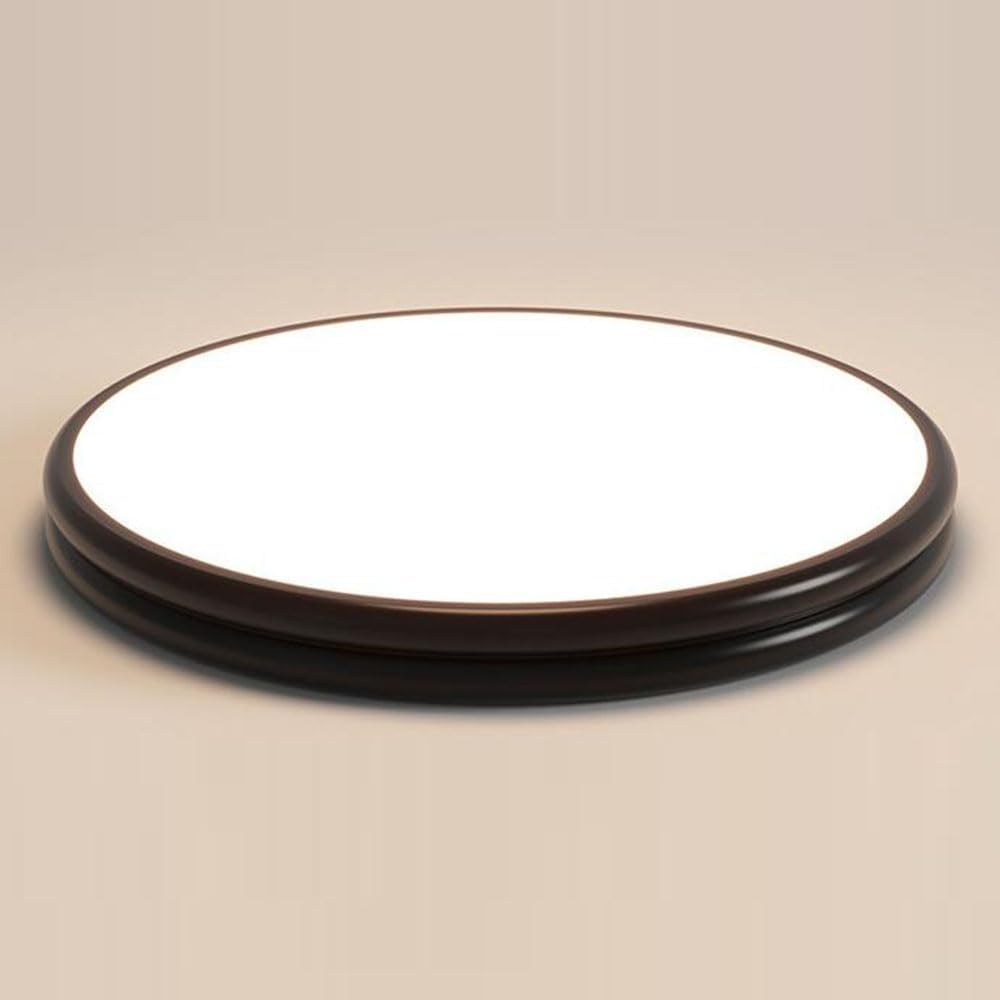 Homearon Ceiling Lamp Adjustable Three-Color Ceiling Lamp Fixture Ultra-Thin Saving Ceiling Lights Warm Romantic Flat Light for Lounge Hallway Home Office Porch(White,60Cm)/Green/40Cm