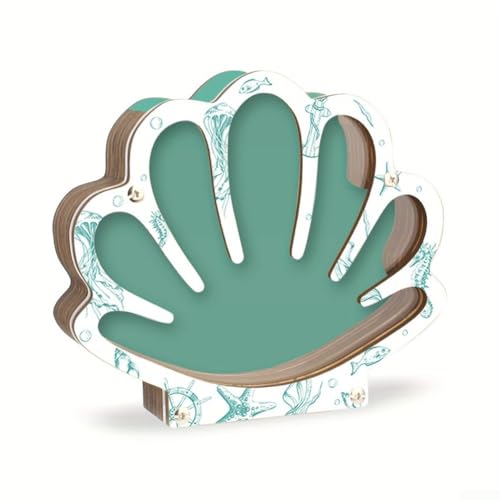 Vitrina de conchas costeras con construcción de madera y cubierta acrílica transparente, proporciona una manera atractiva de preservar y exhibir recuerdos de playa (A)