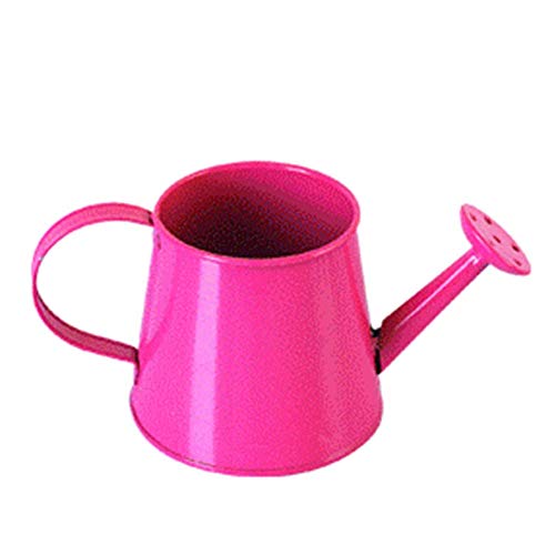 Preisvergleich Produktbild Inconpro Gießkanne Spray Mini Wasserkocher Gießkanne aus Eisen Garten Sprühflasche Multifunktionale Gießkanne Blumentopf Bonbon (1 Stück, Rose rot)
