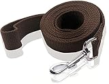 Durable Nylon Dog Leash 16 Feet Long, Walking Training Dog Leashes for Medium Large Dogs(1" X 16 ft,