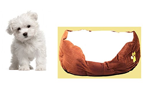 Orchidtent Agnello Ll Giro Forma dell'animale