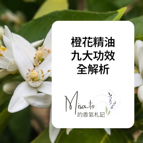 Ep223. 橙花精油九大功效全解析～調出來的調理配方不僅實用有效，還都好聞的不得了呢！ Podcast Por  arte de portada